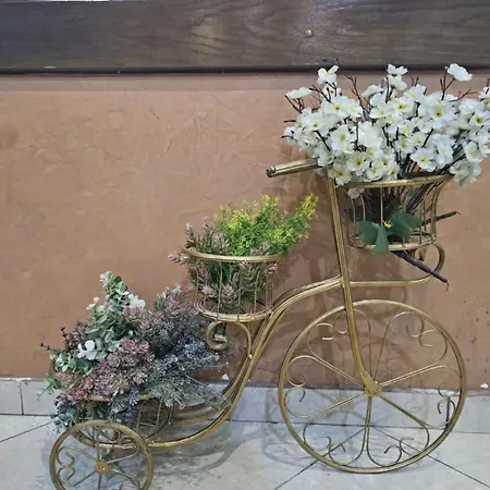 Artist Center Hotel *